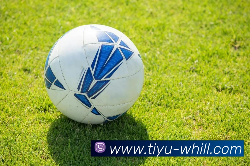 威廉希尔China官网服务体系